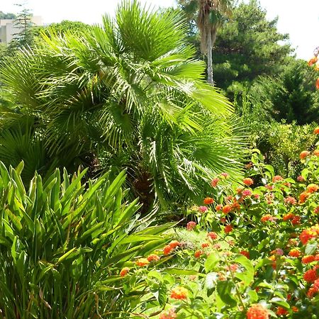 Hotel La Pinede Ajaccio  Exteriér fotografie